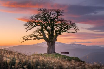 Obraz premium Naturel View of world