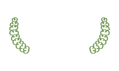 green laurel wreath decorative