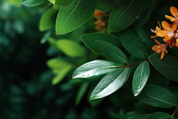 Obraz premium Vibrant green foliage with orange blossoms in sunlight