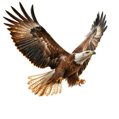 Obraz premium A majestic bald eagle soaring powerfully wings spread wide symbolizing on transparent background