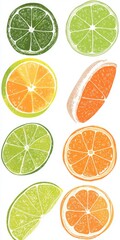 Fototapeta premium Citrus fruit slices illustration