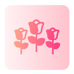 roses gradient icon