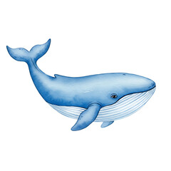 Obraz premium Watercolor Blue Whale Illustration of a Large Marine Mammal