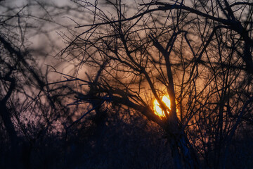 Obraz premium sonnenuntergang im Etosha in Namibia