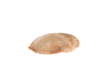 Fototapeta premium Chinese herbal medicine astragalus membranaceus on a white background