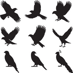 Obraz premium Bird silhouette collection including eagles hawks and ornamental bird vectors