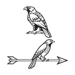 Vector illustration of two birds one perched and one resting on an arrow graphic design.