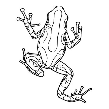 black and white frog climbing clip art preview