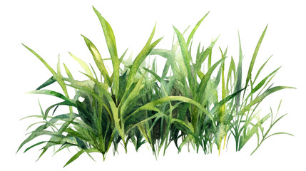 Fototapeta premium Lush green grass with varying shades and textures, creating vibrant natural scene that evokes sense of tranquility and freshness