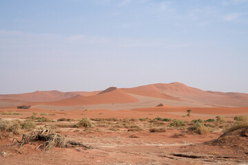 Wüstenlandschaft mit Dünen in der Gegend von Swakopmund