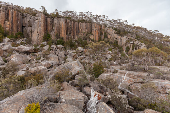 Lost World, verwunschene Felsenwildnis am Mt. Wellington bei Hobart