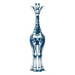 giraffe vector