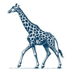 Naklejka premium giraffe vector