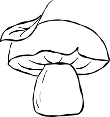 King bolete mushroom with leaf on cap