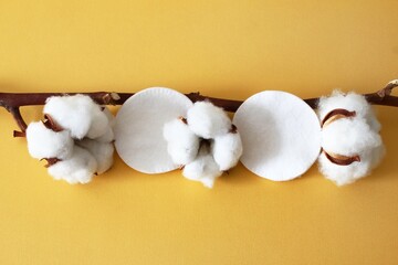 Aesthetic image of a cotton branch with fluffy cotton and soft pads on a bright yellow background.
