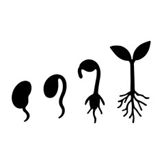 Seed germination stages vector illustration growth process from seed to plant development life cycle
