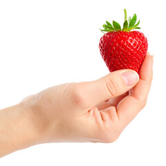 Obraz premium Hand holding single strawberry fruit