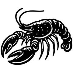 Crayfish Sketch Illustration.