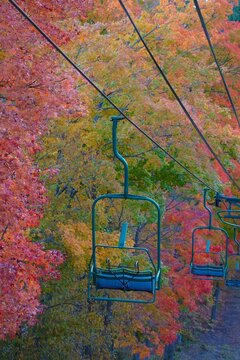 Autumn in Northern Michigan, at Boyne.