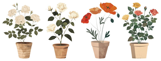 Fototapeta premium PNG Potted floral arrangements illustration, element set on transparent background