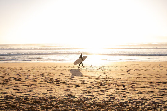 Surfer walking at sunrise on golden Manly Beach, Australia