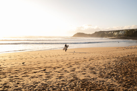 Surfer walking at sunrise on golden Manly Beach, Australia