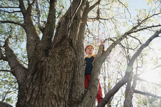 Redheaded child confidently climbs tall tree on a bright spring day