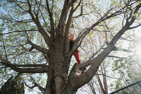 Redheaded child confidently climbs tall tree on a bright spring day