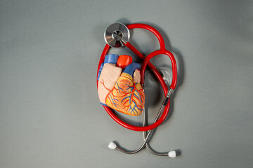 Heart and stethoscope on gray background