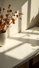 White minimalist desk with soft natural shadows moving across, empty copyspace for text or product, calm ambiance, realistic window lighting