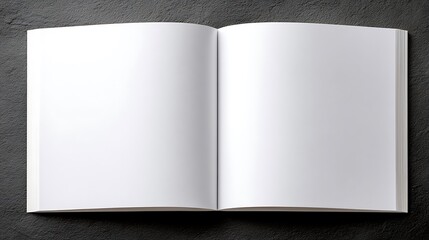 Blank Pages, Open Future