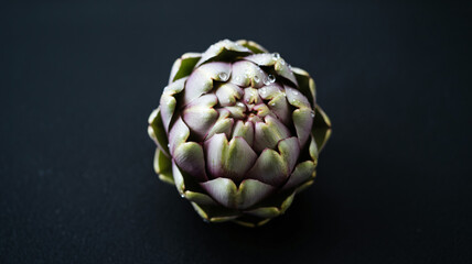 Obraz premium A decorative artichoke light gray-white textured