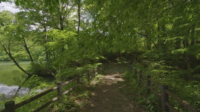 宮城県七ヶ宿町 長老湖の風景 Scenery of Lake Choro in Shichikashuku Town, Miyagi Prefecture