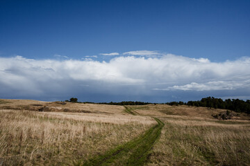 Obraz premium The grassland stretches under a blue sky, with a winding path inviting explorers to adventure through fields of wildflowers in the beautiful countryside, perfect for a serene journey in nature