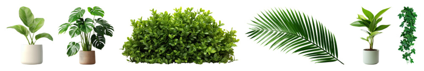 Fototapeta premium PNG Lush indoor potted plants variety, element set on transparent background