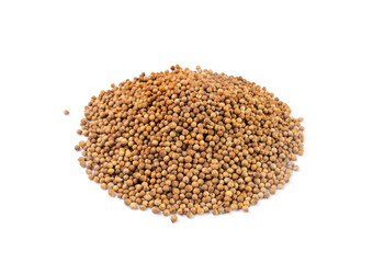 Coriander Seeds Isolated, Cilantro Grains, Chinese Parsley Seed Group, Dry Spices, Seasonings