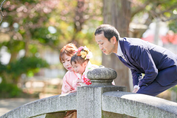 A 3-year-old Japanese girl in a red kimono stands with her parents-mom in a pink kimono, dad in a...