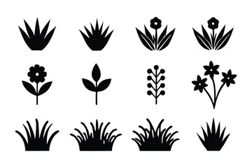 12 flowers icon set
