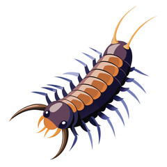 Centipede