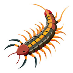 Centipede