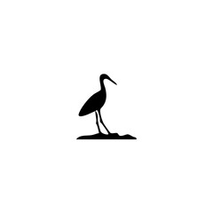 Fototapeta premium American bird Vector illustration