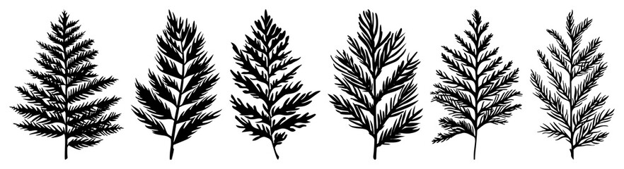PNG Cedar Leaf silhouette leaf art, transparent background