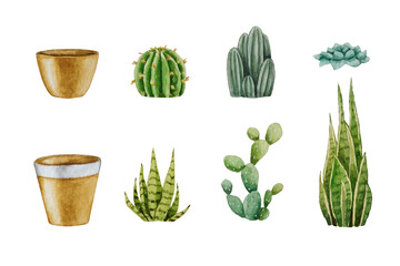 Set of Cacti and Pots. Watercolor illustration. White background. For your design