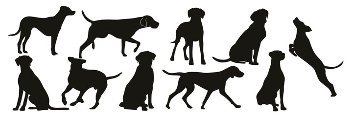 Silhouettes of Dog