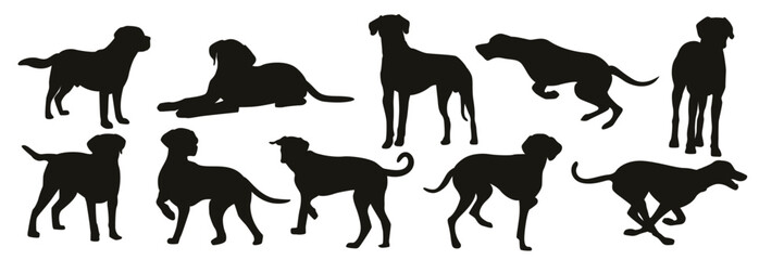 Silhouettes of Dog