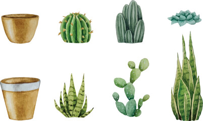 Vector set of Cacti and Pots. Watercolor illustration. White background. For your design