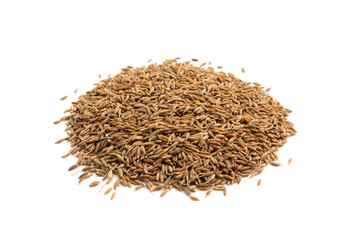 Cumin seed isolated. Caraway or fennel dry seeds close up, zeera macro, Indian cumin or zira grains