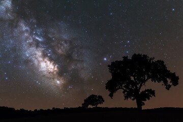 Milky Way over silhouette trees