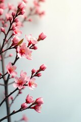 Obraz premium Branches against a white background with a soft focus effect, branches, peaceful