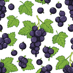 Blackcurrant Vector Illustration with Seamless Pattern Design